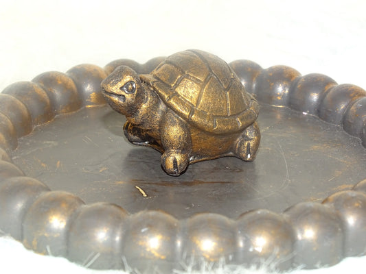 Schildpad klein